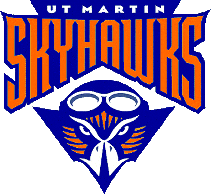 Tennessee-Martin Skyhawks 2003-2008 Primary Logo iron on transfers for fabric